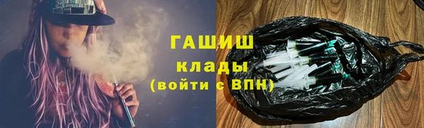 шишки Белокуриха