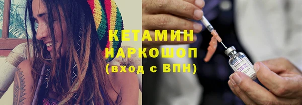 шишки Белокуриха