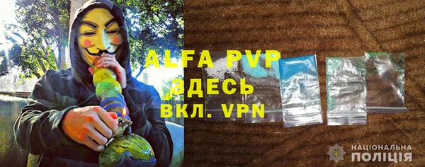шишки Белокуриха