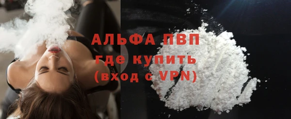 шишки Белокуриха
