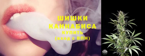 шишки Белокуриха