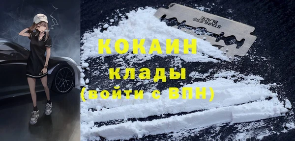 шишки Белокуриха