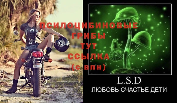 стаф Белоозёрский