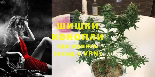 шишки Белокуриха