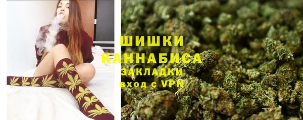 шишки Белокуриха