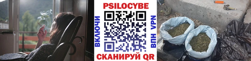Псилоцибиновые грибы MAGIC MUSHROOMS  купить наркоту  Ачхой-Мартан 